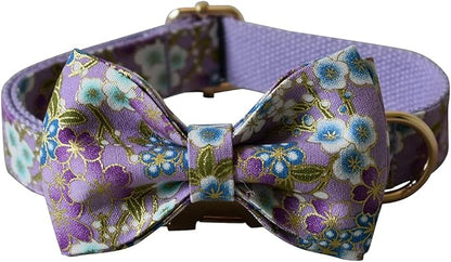 Custom Dog Collar with Names and Phone Number Engraved, Puppy Tags Personalized for Small Medium Large Pets