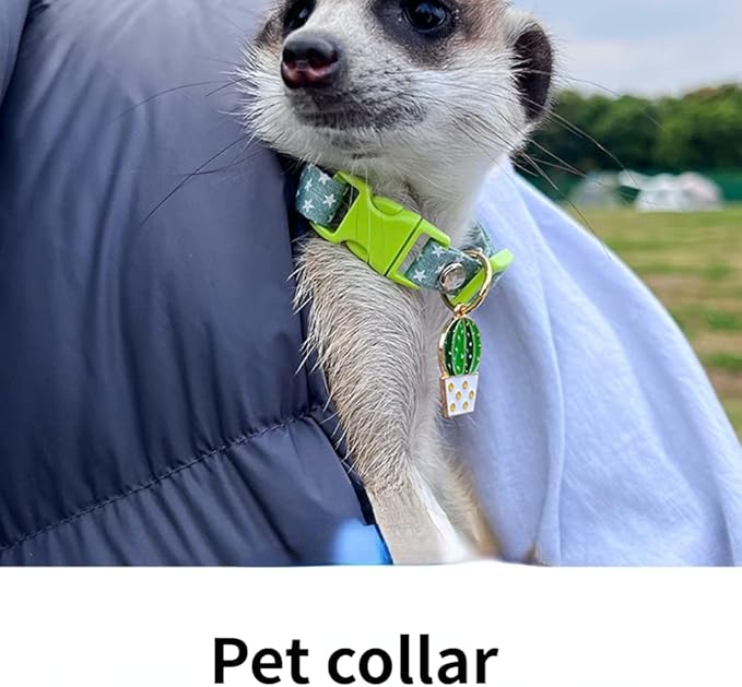 Ferret Collar Harness and Leash Adjustable, Soft and Breathable Ferret Lead Leash with Cute Designed Collar (Yellow)