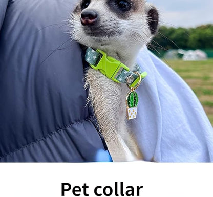 Ferret Collar Harness and Leash Adjustable, Soft and Breathable Ferret Lead Leash with Cute Designed Collar (Blue)