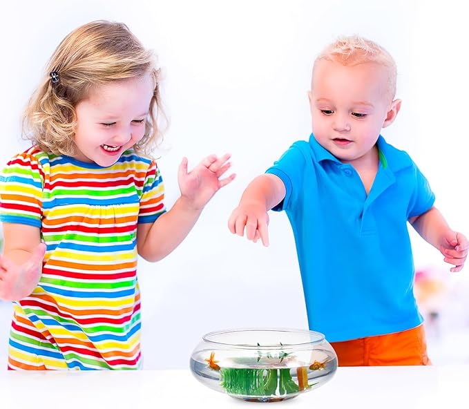 Fish Bowl Round Plastic Terrarium Bowl for Table Centerpiece Wedding Event Home Decoration Party Drinks