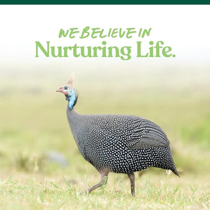 Manna Pro All Flock Crumbles – 16% Protein Complete Poultry Feed with Probiotics for Digestion, Crumbled Chicken & Game Bird Feed for All Flock Types, No Artificial Colors or Flavors, 25 lb