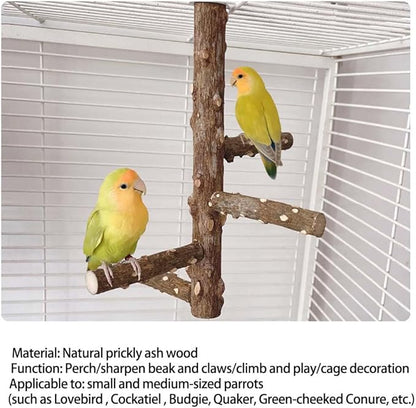 Bird Perch Stand Toy, Natural Wood Parrot Perch Bird Cage Branch Perch Accessories for Parakeets Cockatiels Conures Finches Lovebirds (L)