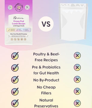 Brave Probiotic Dog Food Dry, Lamb, 4lb Bag, Allergy and Gut-Friendly Adult Kibble for Digestive Health with Grass-Fed Lamb, 20 Plant Based Superfoods, Poultry and Grain Free