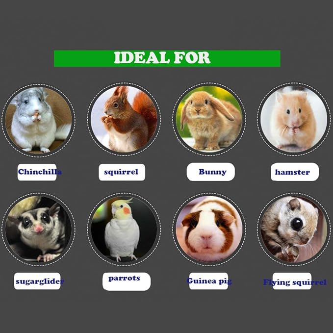 QBLEEV 3 PCS Hamster Chew Toys for Teeth, Chinchilla Cage Accessories Supplies, Guinea Pigs Natural Wood Chews Sticks for Rat Squirrels, Rabbits Perch Toys Birds Standing Platform for Parrot Bunny