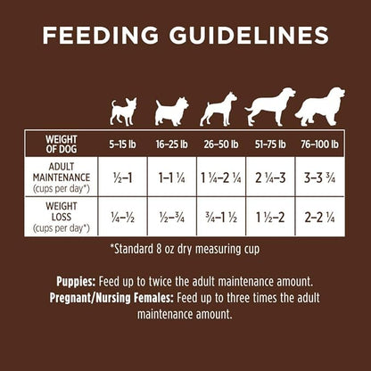 Original Beef Dry Dog Food, 20 lb. Bag