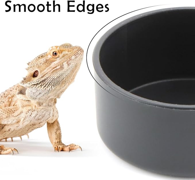 10 Pcs Small Reptile Water Bowl Food Dish Feeding Bowl for Spider Gecko Lizard Horned Frog Turtle Snake (Black)