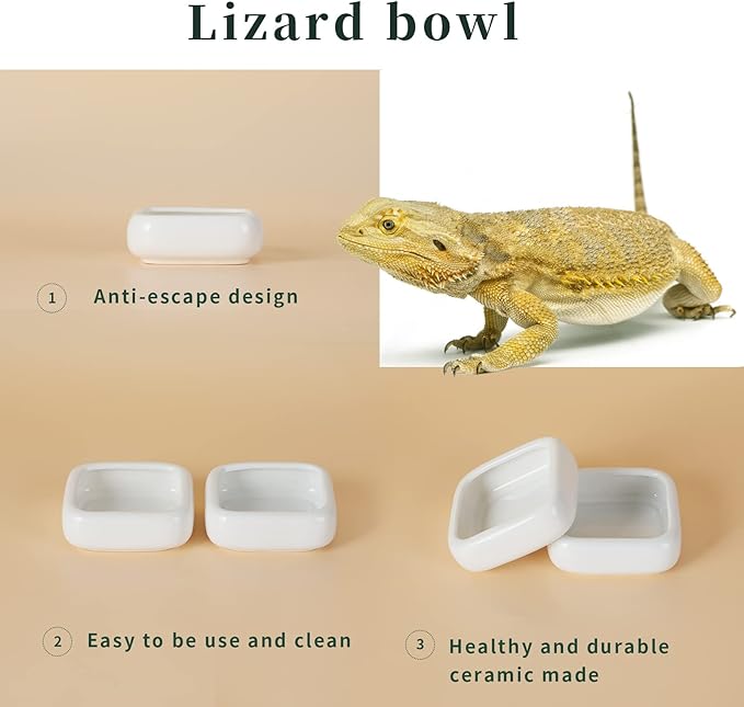 Reptile Food Bowls Ceramic Square Reptile Water Food Dish, Pet Food Bowl for Lizards, Young Bearded Dragons, Small Snakes, Gecko Tortoise Spider (White, Small 2-Pack)