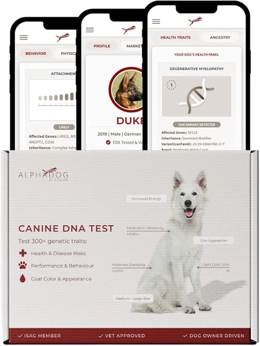 AlphaDog DNA Complete Dog DNA Test Kit – Clinical Grade, Breeder Preferred, and Vet-Approved - Includes Breed Analysis, Health Traits, Behavior Traits, & Coat Traits