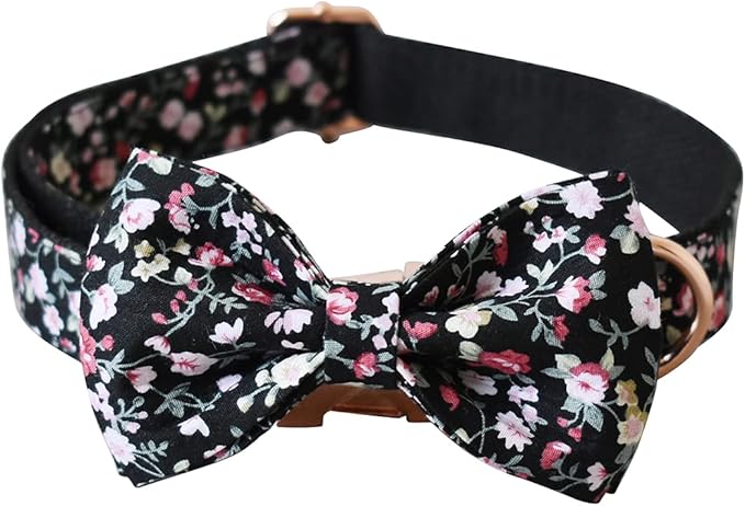 Custom Dog Collar with Names and Phone Number Engraved, Puppy Tags Personalized for Small Medium Large Pets