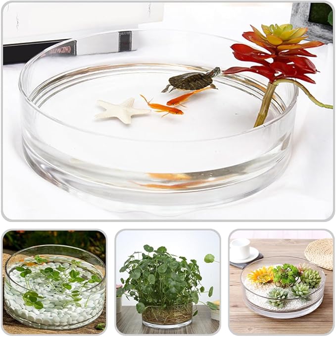 Fish Bowls for Centerpieces, Glass Bowl Decorative Width 7.9", Height 3.1", Lotus Flower, Succulent, Round Glass Vase for Wedding Party Event, Home Office Decor