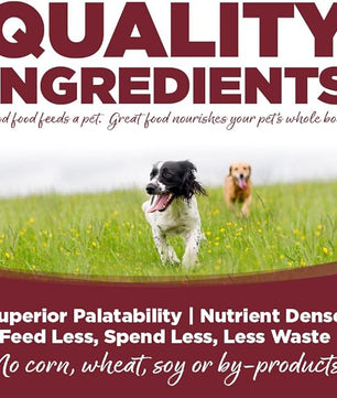 NutriSource Beef & Rice Recipe Dog Food, Premium Wet Dog Food, 12.3 Ounce (Pack of 12)