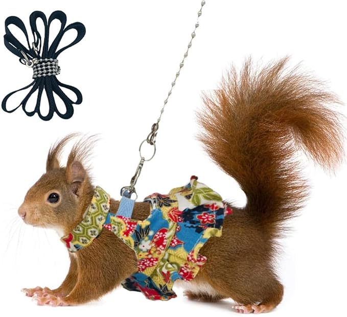 3 Sets Squirrel Leash and Harness Set,Traction Rope Strap, Ferret Harness Vest, Adjustable Flora Small Animal Harness Vest for Ferret, Dwarf Chinchilla, Guinea Pig, Fancy Rat (Medium)