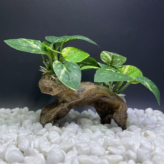 Smoothedo-Pets Fish Tank Decorations Aquarium Decor Ornaments Betta Silk Leaf pad Hammock Artifical Driftwood cave Goldfish Bowl Accessories (Type-C)