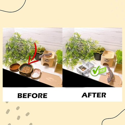 Geckopia Triple Dish 3.0 | 3 in 1 Reptile Bowl | Gecko & Reptile Calcium & Water Food Bowl | Mealworm Dish in BioPlastic | Wood