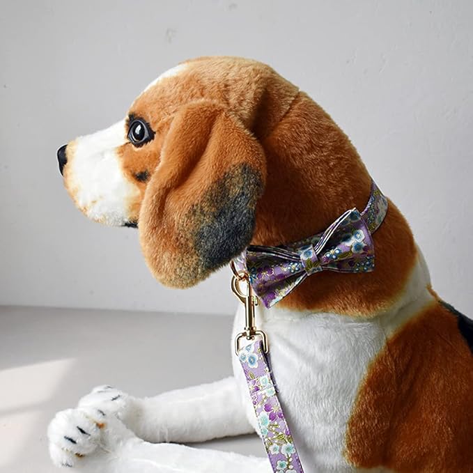 Custom Dog Collar with Names and Phone Number Engraved, Puppy Tags Personalized for Small Medium Large Pets