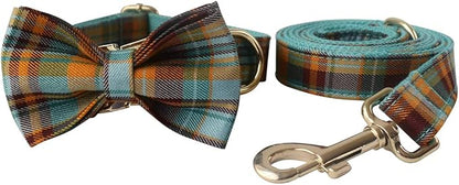 Custom Dog Collar with Names and Phone Number Engraved, Puppy Tags Personalized for Small Medium Large Pets