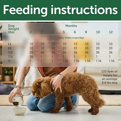 Nature's Protection Grain Free Dry Puppy Food for Small Breed - High Protein & Tear Stain Formula - Small Dog Food Kibble for Red Fur Puppies (Superior Care - Salmon, 22 lb)