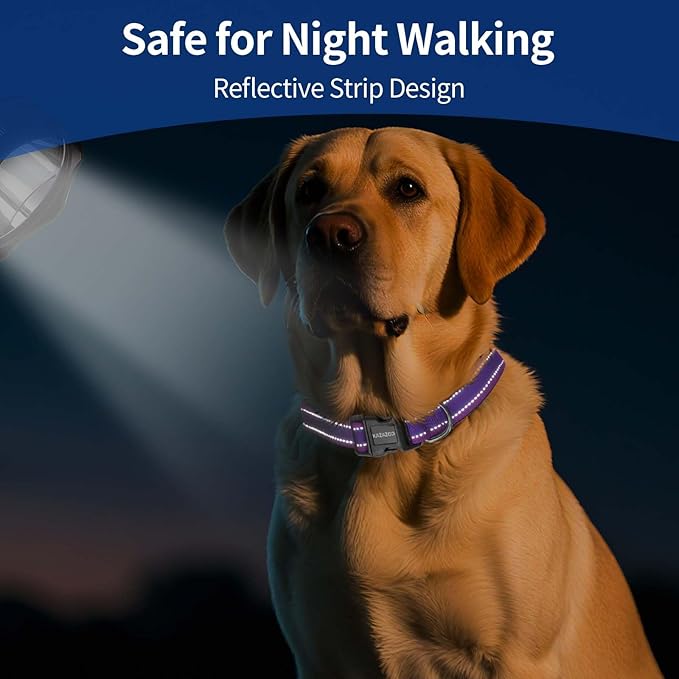 Reflective Dog Collar with Soft Padding Dog Collar for Medium & Small Dogs, No Pull, Heavy Duty, Adjustable Nylon Collar with Quick-Release Buckle, Walking Training Purple-S
