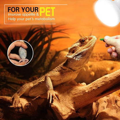 2 Pack Reptile Heating Bulb 100W with Sticked Digital Thermometer for Reptiles and Amphibians Turtles,Gecko,Chamelon,Iguana,Python,Ceratophrys