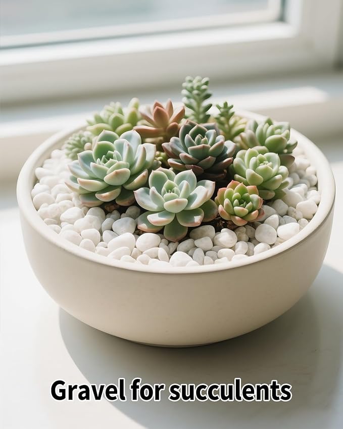 12LB White Succulent & Cactus Gravel Pebbles - 1/4-3/8 Inch Natural Polished River Rocks, Decorative Stones for Plants, Terrariums, Vases, Aquariums & Outdoor Gardening