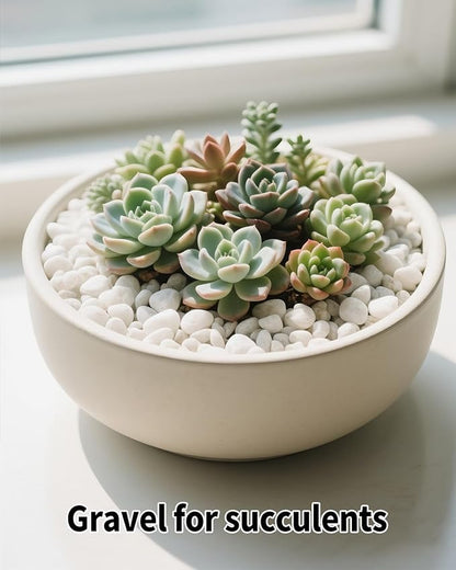 6LB White Succulent & Cactus Gravel Pebbles - 1/4-3/8 Inch Natural Polished River Rocks, Decorative Stones for Plants, Terrariums, Vases, Aquariums & Outdoor Gardening