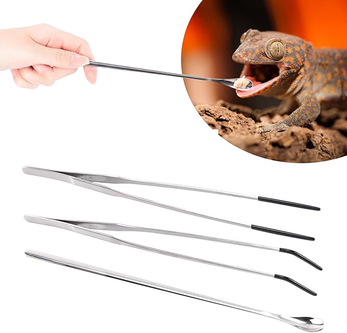 3Pcs Reptile Feeding Tool Set, 2 Tipped Tongs and 1 Feeding Spoon, Stainless Steel Crested Gecko Feeding Spoon for Geckos, Lizards, Bearded Dragons, Small Animals (Silver)