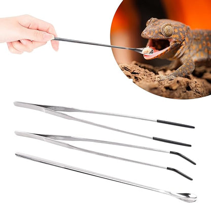 3Pcs Reptile Feeding Tool Set, 2 Tipped Tongs and 1 Feeding Spoon, Stainless Steel Crested Gecko Feeding Spoon for Geckos, Lizards, Bearded Dragons, Small Animals (Silver)