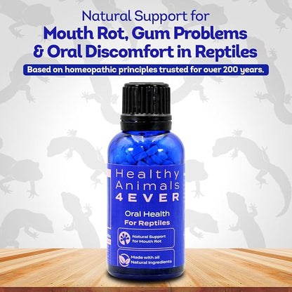HA4E - Reptile Oral Health Support - Natural Mouth Rot Relief & Oral Hygiene Formula - Supports Gum Health, Comfort & Healing - 300 Tablets