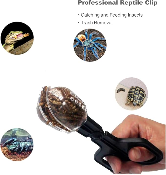 Reptile Long Handle Feeding Tools,2Pcs Extra Long Stainless Steel Reptile Feeding Tongs with Rubber Tip, 1Pcs Reptile Feeding Spoon, 1Pcs Plastic Reptile Feeding clamp,Terrarium Feeder Tool