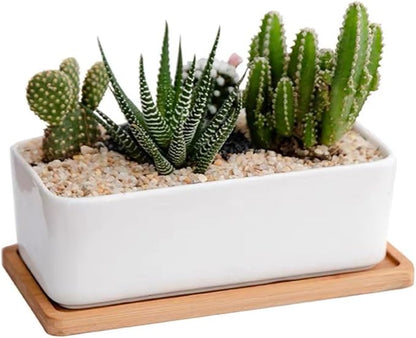 1 LB Fine Natural Silsand, Coarse Silica Sand for Plants, Aquariums, Fire Pits, Terrariums, Cactus and Succulent Plants & Garden Sand Grit