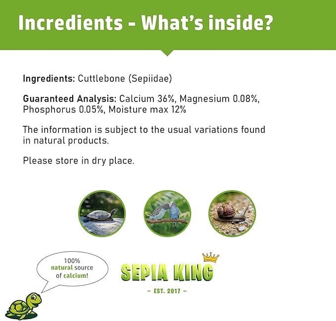 Extra Large - 100% Natural Calcium Supplement - Premium Cuttlebone Perfect for Birds, Tortoises, Snails, Reptiles - Pack of 3