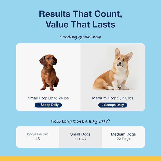 ProDen PlaqueOff Scoopables - Hickory Smoked Bacon Flavor Dental Bites for Small Dogs, Natural Kelp for Plaque & Tartar Control, Freshens Breath - Small & Medium Breed Dental Care- 45 Scoops