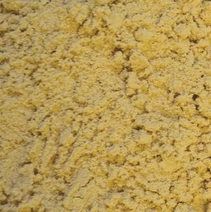 Oxbow Critical Care Carnivore, Made with Whole Egg & Dried Chicken, Assist Feeding Formula for Carnivores, Cat Supplements, Ferret Food Recovery, Small Animal Pet Products, Made in USA, 70 Gram Bag