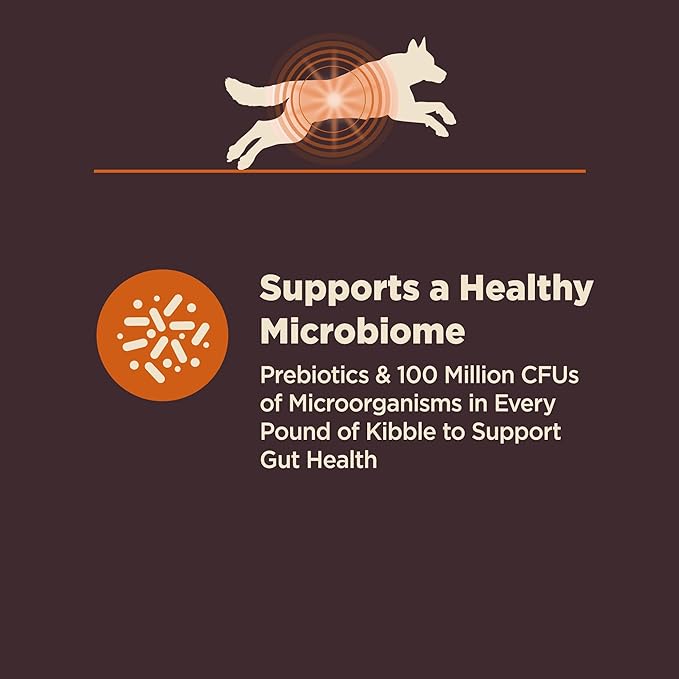 Wellness CORE Digestive Health Dry Dog Food, Wholesome Grains, Natural, Recipe for Dogs with Sensitive Stomachs, Chicken, (4-Pound Bag)