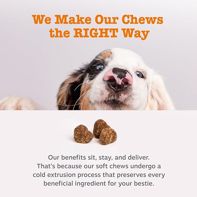 Zesty Paws Dog Allergy Relief Chews, Dog Probiotics for Itchy Skin and Ears, Salmon, 90ct