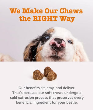 Zesty Paws Vet Strength Probiotics for Dogs, Digestive Health & Gut Flora Support, Dog Supplements, 90 Count