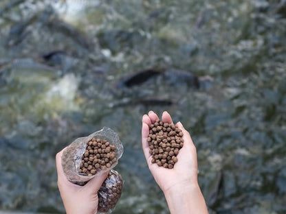 50 lbs Catfish Food 32% Protein 4% Fat - Lake, Pond, or Aquarium Fish