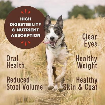 Primal Freeze Dried Dog Food, Pronto Mini Nuggets, Beef; Scoop & Serve, Complete & Balanced Meal; Also Use as Topper or Treat; Premium, Healthy, Grain Free High Protein Raw Dog Food (25 oz)