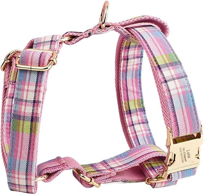 Custom Dog Collar with Names and Phone Number Engraved, Puppy Tags Personalized for Small Medium Large Pets (Colorful Plaid, XL)