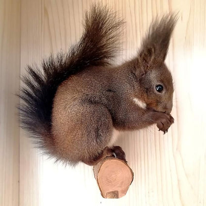 QBLEEV 3 PCS Hamster Chew Toys for Teeth, Chinchilla Cage Accessories Supplies, Guinea Pigs Natural Wood Chews Sticks for Rat Squirrels, Rabbits Perch Toys Birds Standing Platform for Parrot Bunny