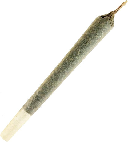 Meowijuana | King Size Catnip Joints | Organic | Dried Premium Ground Catnip | High Potency | Grown in North America | Feline and Cat Lover Approved