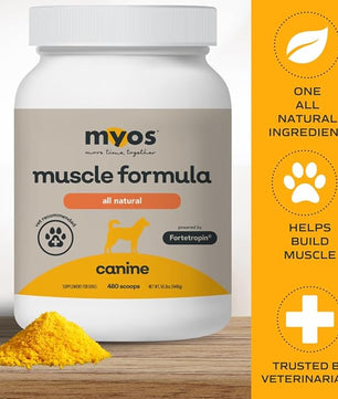 MYOS Canine Muscle Formula - All-Natural Muscle Building Supplement - Helps Reduce Muscle Loss in Aging Dogs and Improve Recovery from Injury or Surgery