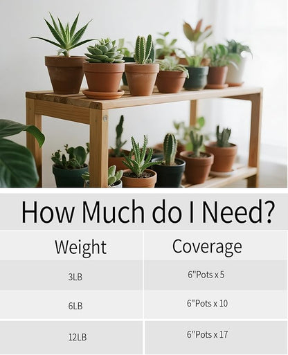 3LB Succulent & Cactus Gravel Pebbles,1/4-3/8 Inch Natural Polished River Rocks Decorative Stones for Succulent Planters,Cactus Pots,Vases,Aquariums,Outdoor Gardening Mixed Colors