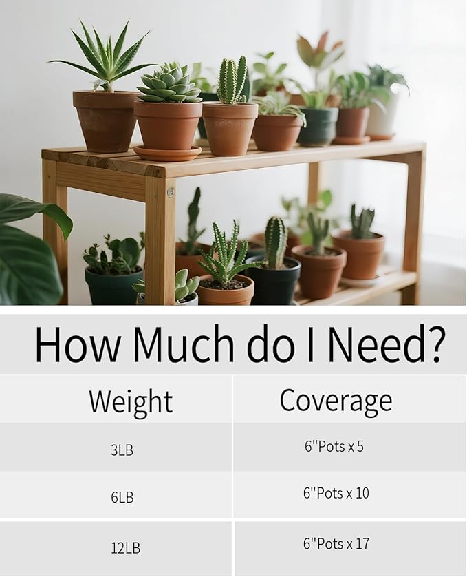 6LB Succulent & Cactus Gravel Pebbles,1/4-3/8 Inch Natural Polished River Rocks Decorative Stones for Succulent Planters,Cactus Pots,Vases,Aquariums,Outdoor Gardening Mixed Colors