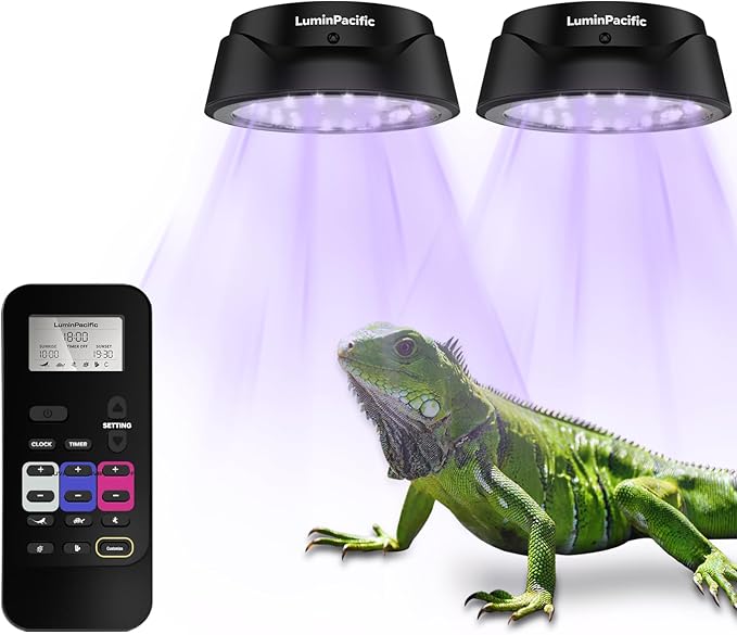 LED Reptiles Light with Remote, UVA UVB FR Lamp for Rainforest & Desert Reptiles, Ferguson Zones 1-4, Timer Switch, 10 Dimmable, for Bearded Dragon, Turtle, Frog, Snake, Plant (2 Pack)