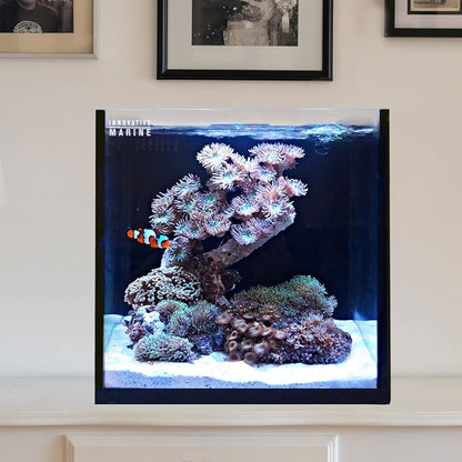 Innovative Marine Starter Kit Aquariums (15 Gallon Cube)