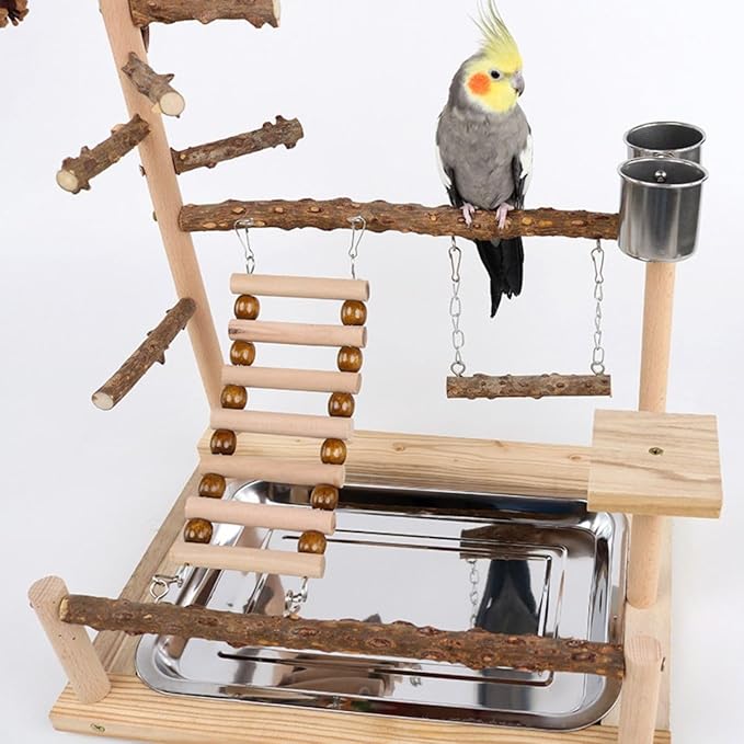 Parrot Playground Playstands, Bird Playgrounds with Feeder Cups Bird Cage Stand Bird Perch Stands, Parakeet Playground Wood Bird Play Stand for Cockatiel Parakeet