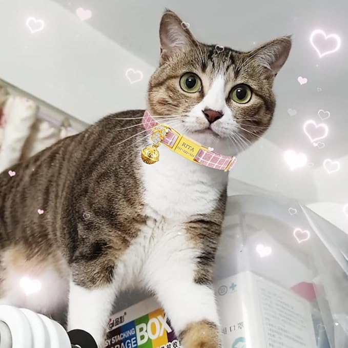 Personalized Breakaway Cat Collars - Magnetic Buckle, Bell - Safety Quick Release, Customized for Girls & Boys Cats - Herringbone