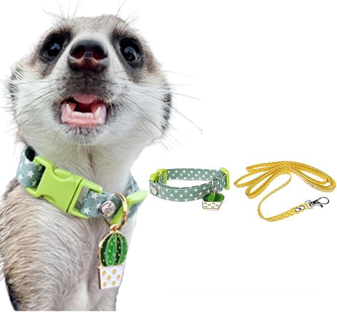 Ferret Collar Harness and Leash Adjustable, Soft and Breathable Ferret Lead Leash with Cute Designed Collar (Green)