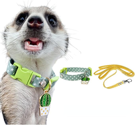 Ferret Collar Harness and Leash Adjustable, Soft and Breathable Ferret Lead Leash with Cute Designed Collar (Green)